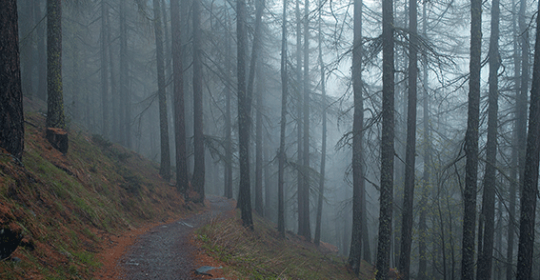 Back Pain – No connection to the weather