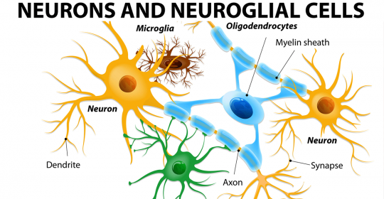 The mystery of chronic pain