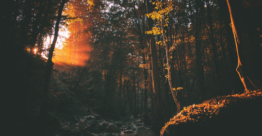 The Concept Of Happiness – Ansel’s Blog