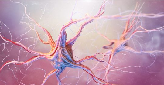 Epilepsy: Things You Need to Know