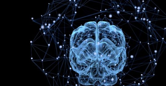 What You Need to Know About Status Epilepticus