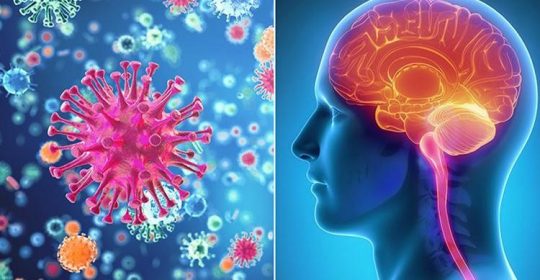 6 Things You Didn’t Know About Meningitis