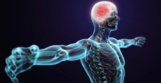 Common Nervous System Disorders