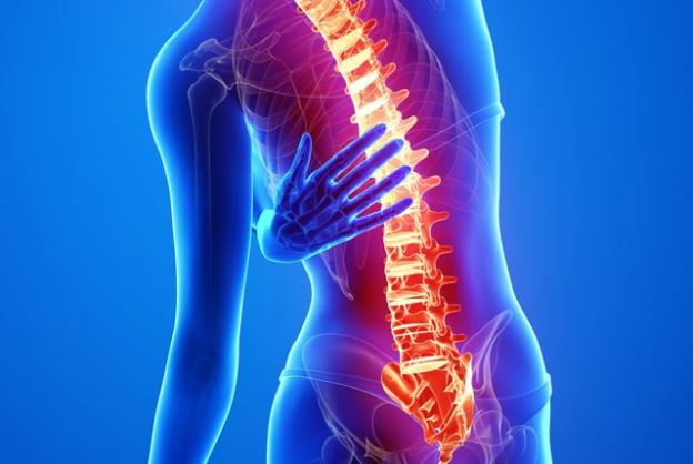 an-overview-of-spinal-cord-disorders-german-neuroscience-center-dubai-1